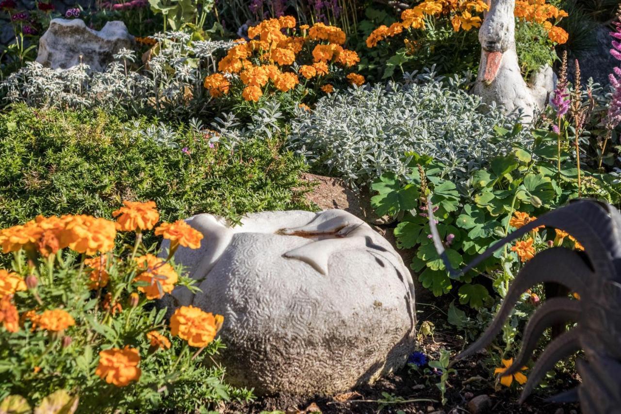 Tonigbauernhof Blumenwiese Schenna Bagian luar foto