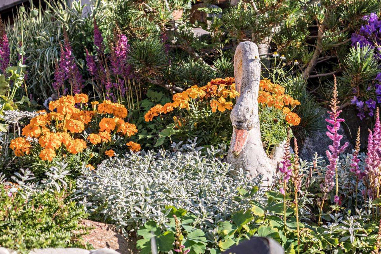 Tonigbauernhof Blumenwiese Schenna Bagian luar foto